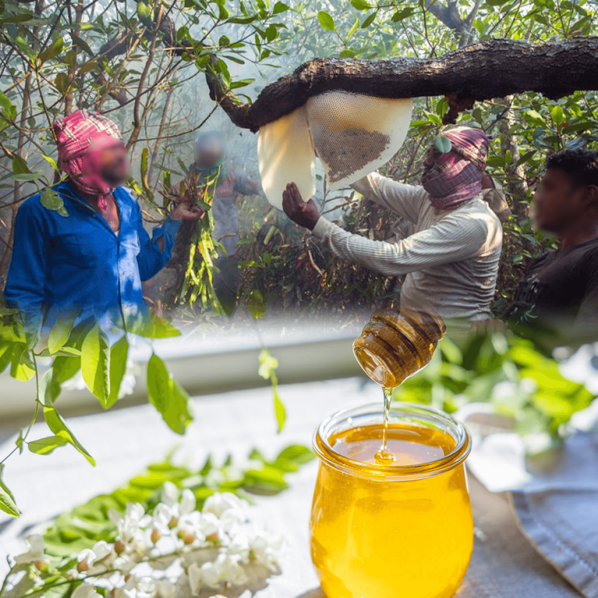 সুন্দরবনের খাঁটি মধু